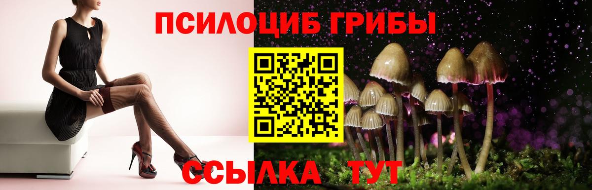Кашира  Псилоцибиновые грибы мицелий  Псилоцибиновые грибы Psilocybine cubensis  Вход с VPN 