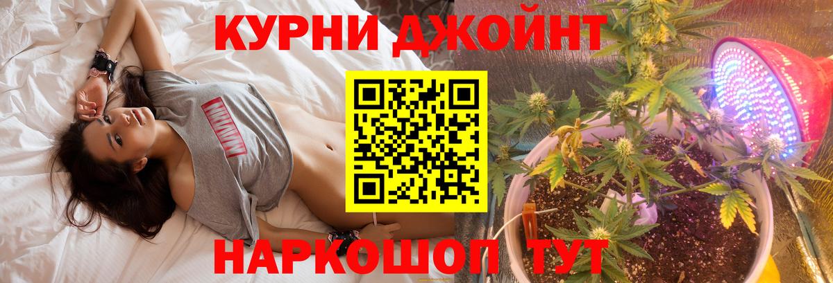 Конопля MAZAR  Вход с VPN  Кашира  Конопля план 